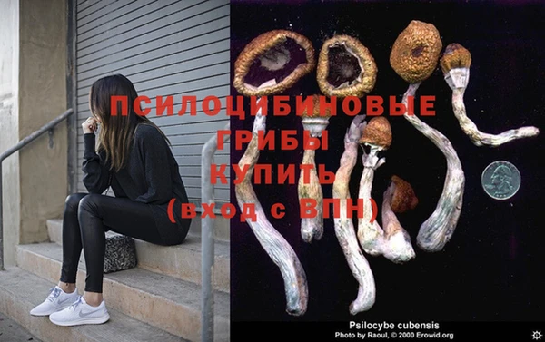 соль ск Медногорск