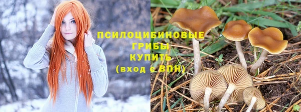 Альфа ПВП Мегион