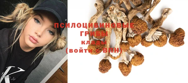 Альфа ПВП Мегион