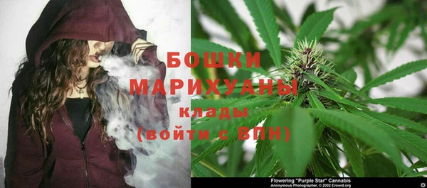 Альфа ПВП Мегион
