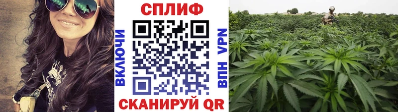 Каннабис VHQ Купить Новоузенск